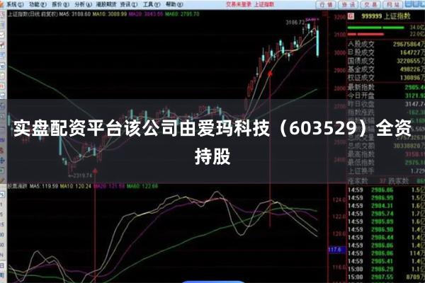 实盘配资平台该公司由爱玛科技（603529）全资持股